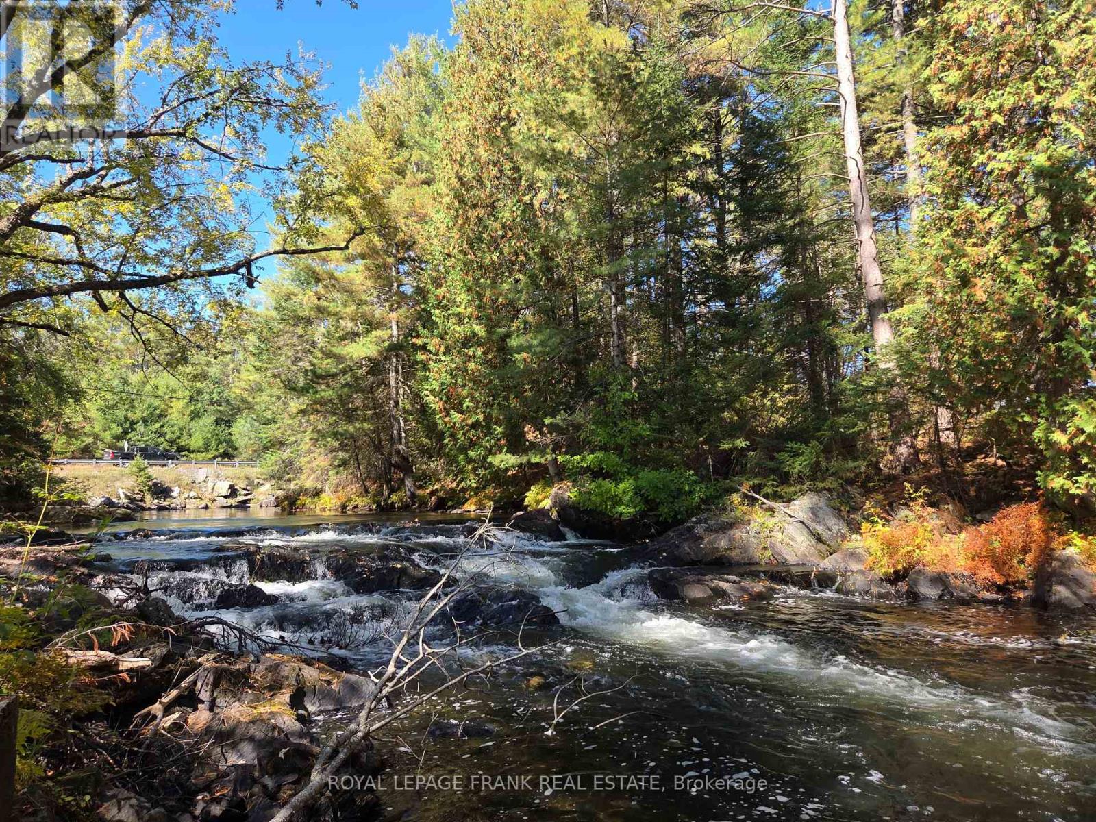 8847 Highway 28, North Kawartha, Ontario  K0L 1A0 - Photo 32 - X12677536