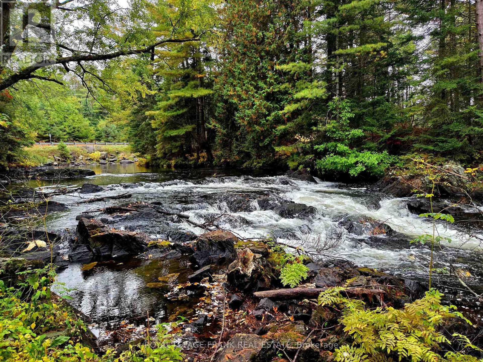 8847 Highway 28, North Kawartha, Ontario  K0L 1A0 - Photo 33 - X12677536