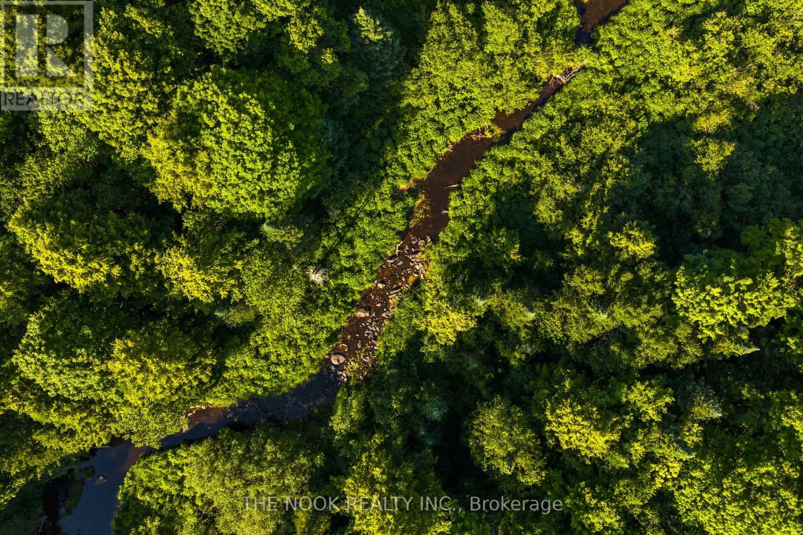 12482 Highway 28 Road, North Kawartha, Ontario  K0L 1A0 - Photo 36 - X12678552