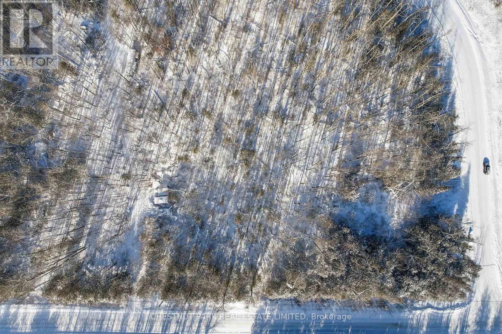 3020 Finley Road, Selwyn, Ontario  K0L 2H0 - Photo 6 - X12679000