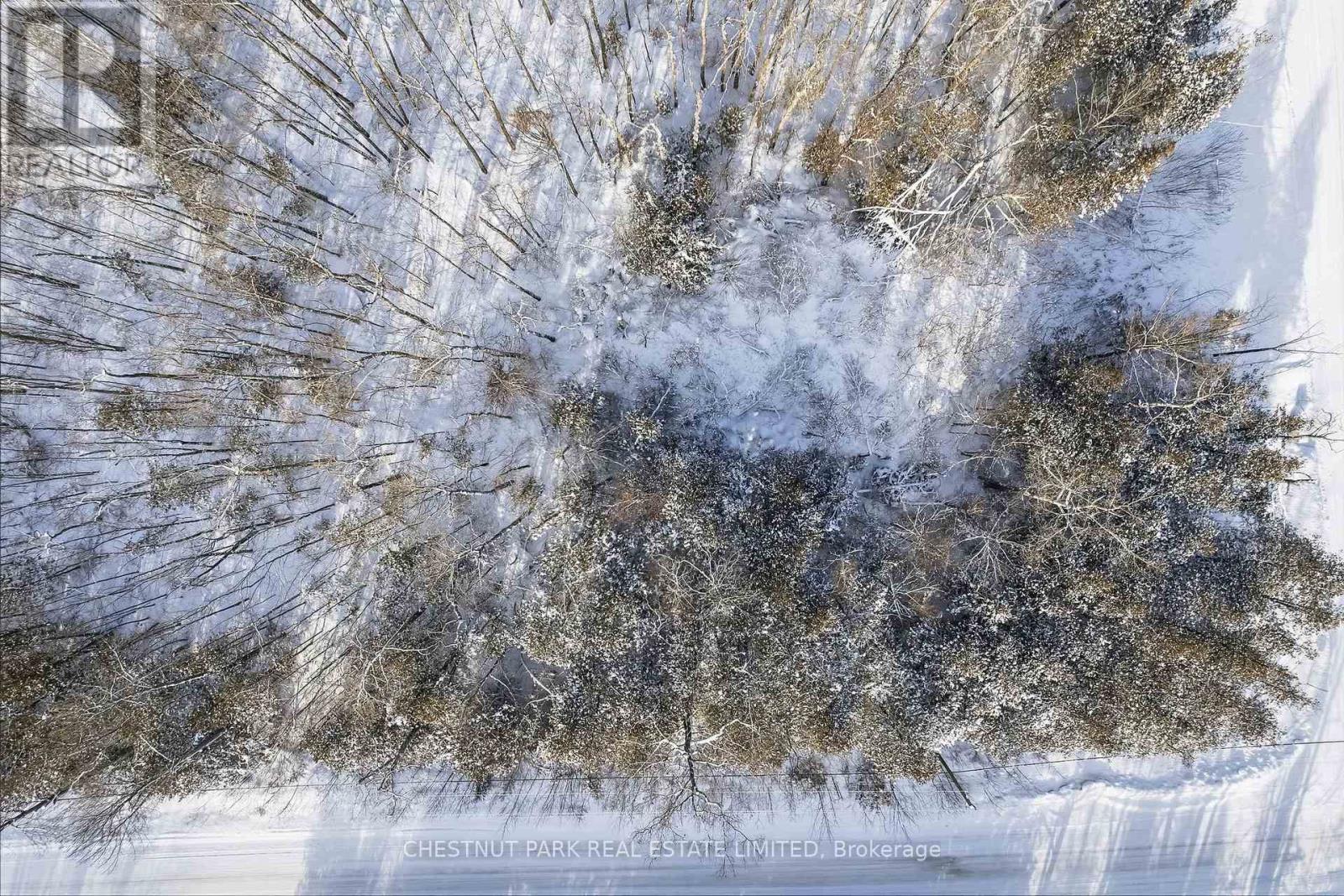 3020 Finley Road, Selwyn, Ontario  K0L 2H0 - Photo 7 - X12679000