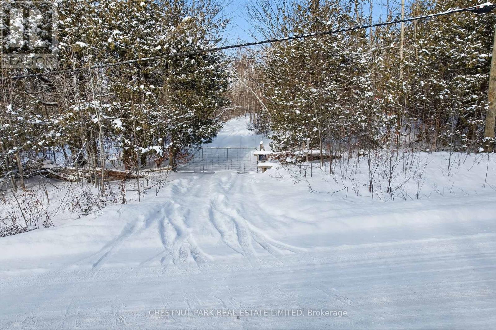 3020 Finley Road, Selwyn, Ontario  K0L 2H0 - Photo 8 - X12679000