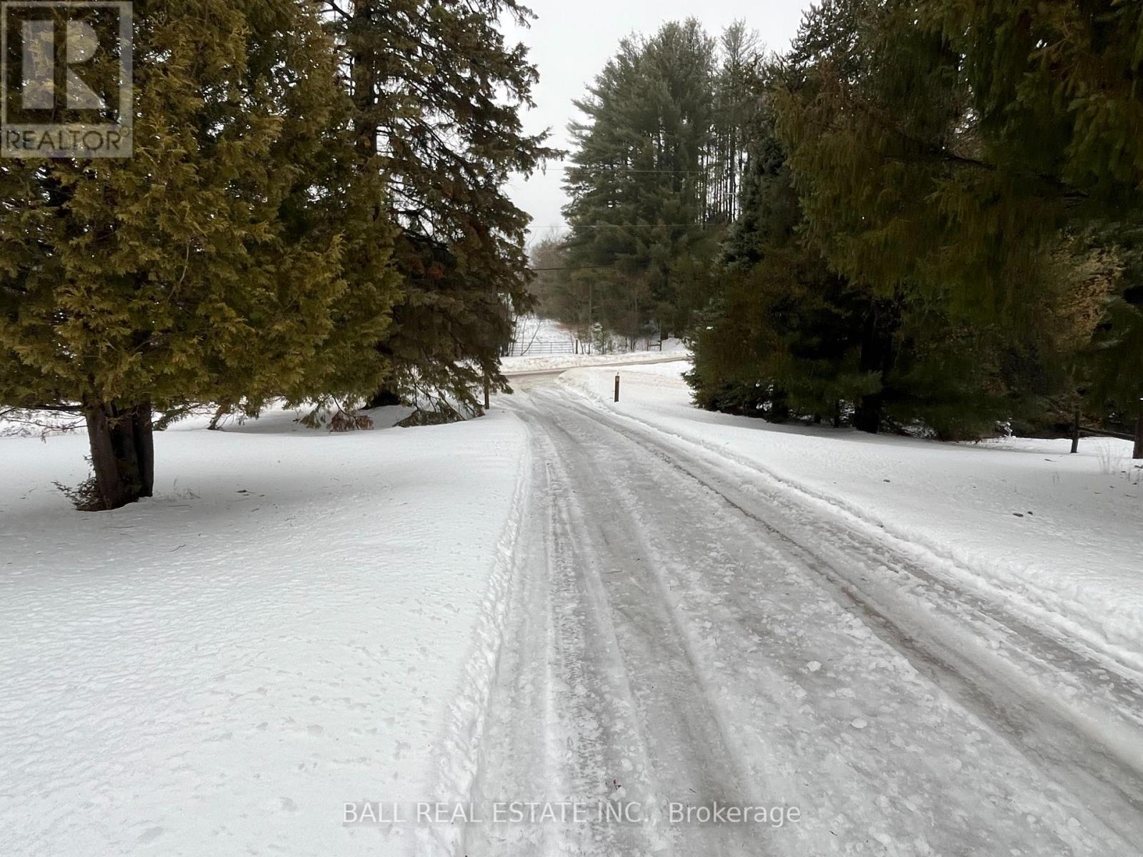 418 Glen Alda Road, North Kawartha, Ontario  K0L 1A0 - Photo 10 - X12683454