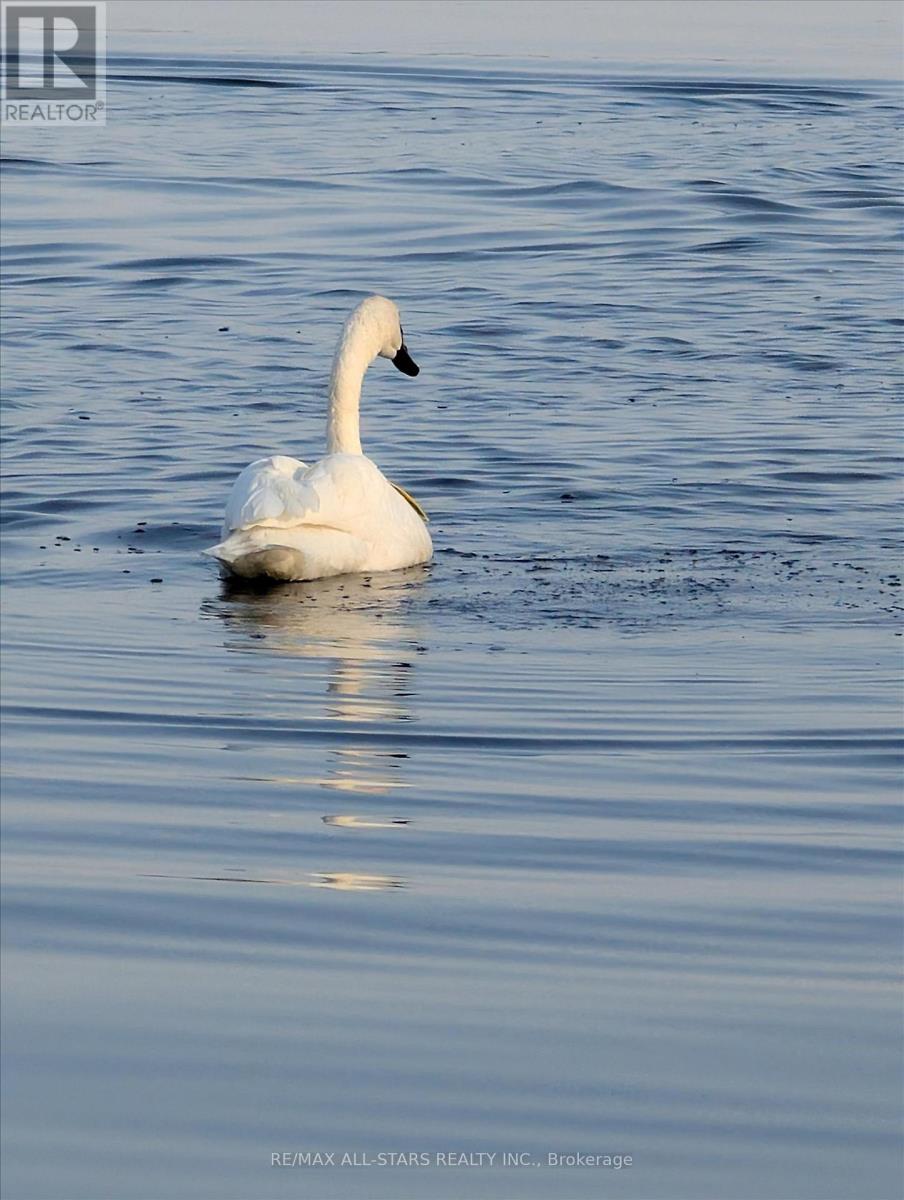 194 Snug Harbour Road, Kawartha Lakes (Fenelon), Ontario  K9V 4R6 - Photo 47 - X12685574