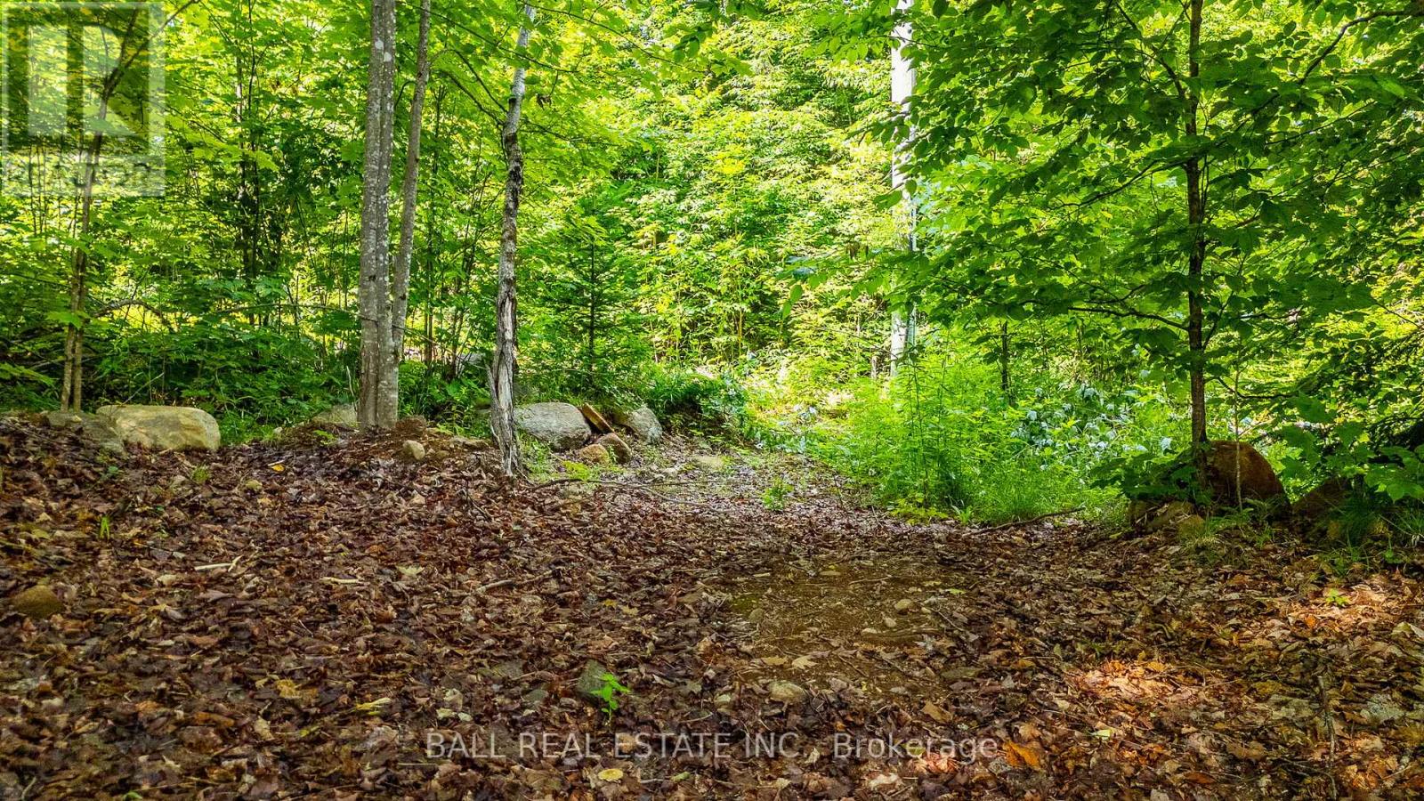 2430 Hadlington Road, Highlands East (Monmouth), Ontario  K0L 3C0 - Photo 41 - X12687510