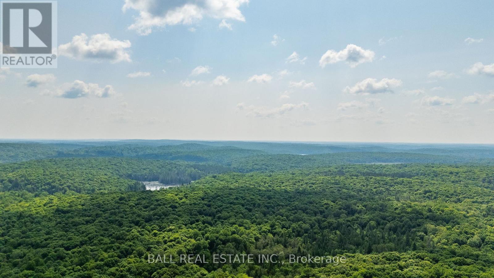 2430 Hadlington Road, Highlands East (Monmouth), Ontario  K0L 3C0 - Photo 47 - X12687510