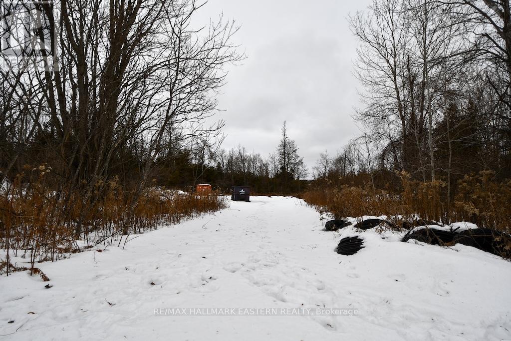 1970 Brown Line, Cavan Monaghan (Cavan-Monaghan), Ontario  K9J 6Z9 - Photo 29 - X12688728