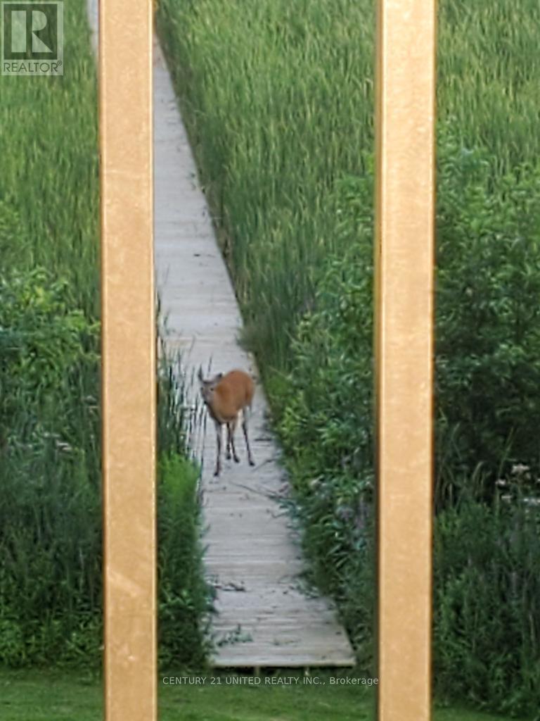 37 Southside Road, Kawartha Lakes (Omemee), Ontario  K9V 0K3 - Photo 23 - X12690800