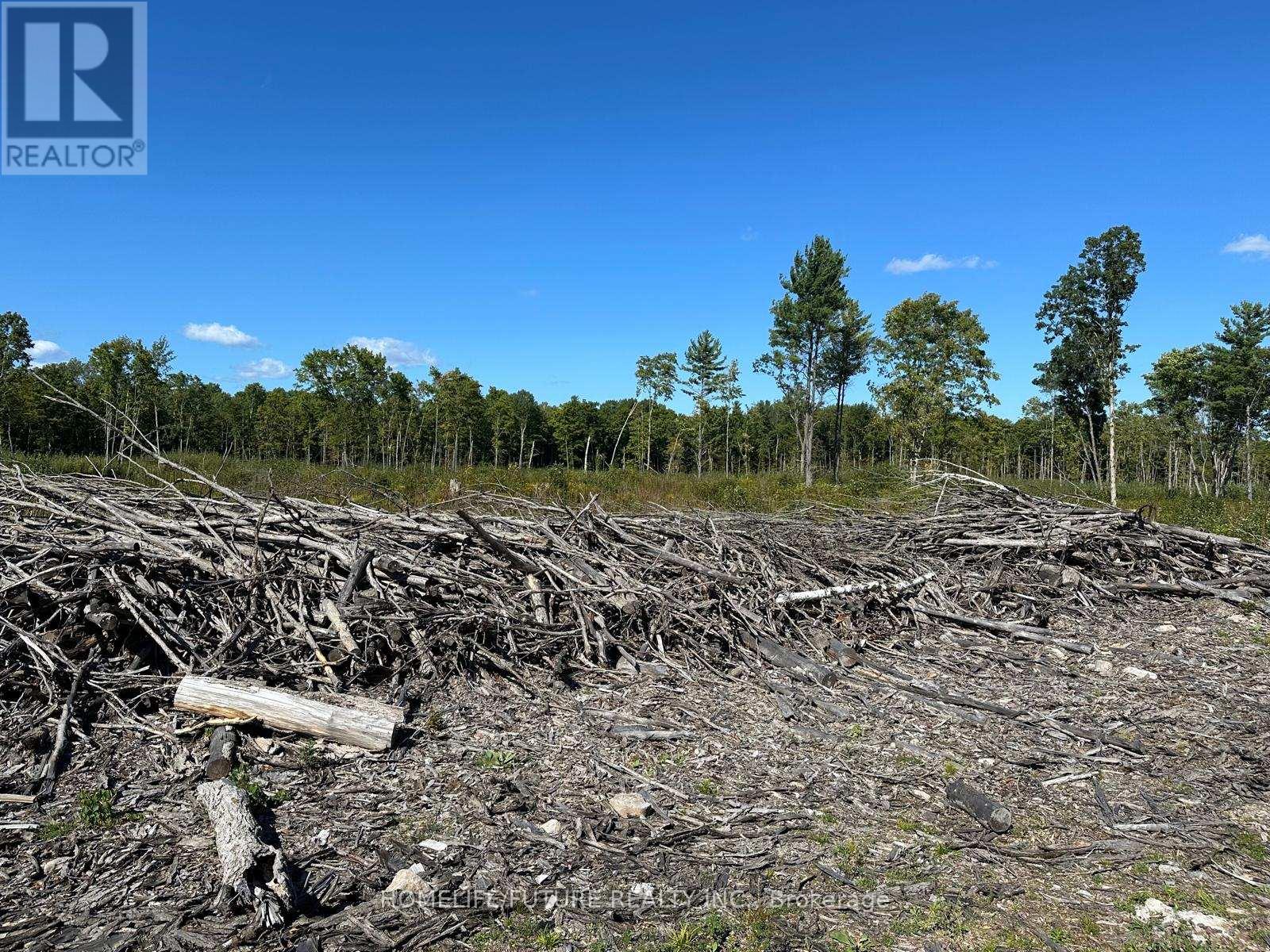 1 & 2 - Pt/lt 13 Belmont Concession 10 Pt, Havelock-Belmont-Methuen (Belmont-Methuen), Ontario  K0L 1Z0 - Photo 9 - X12694980