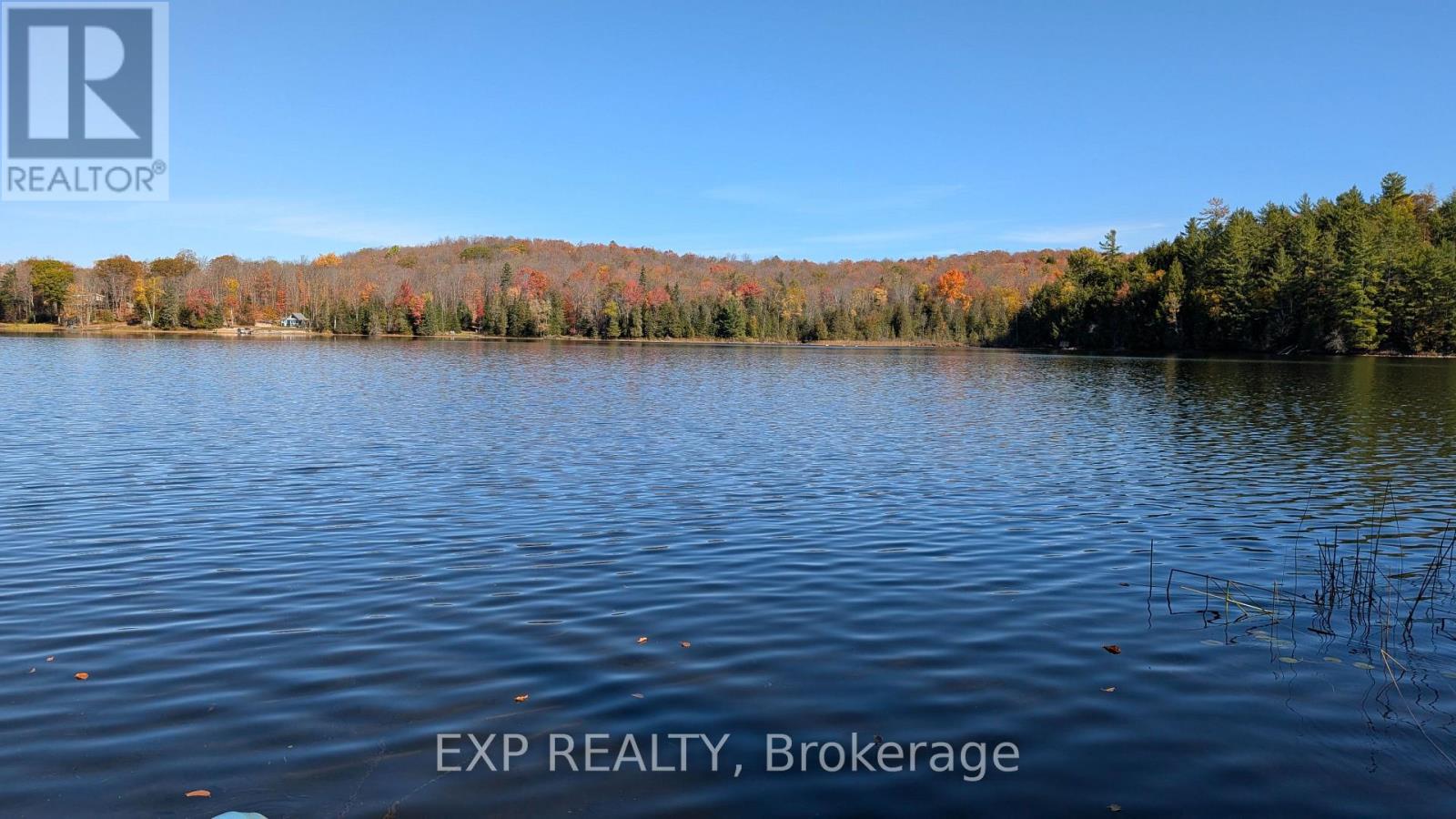 195 Maple Ridge Lane, Wollaston, Ontario  K0L 1P0 - Photo 29 - X12695356