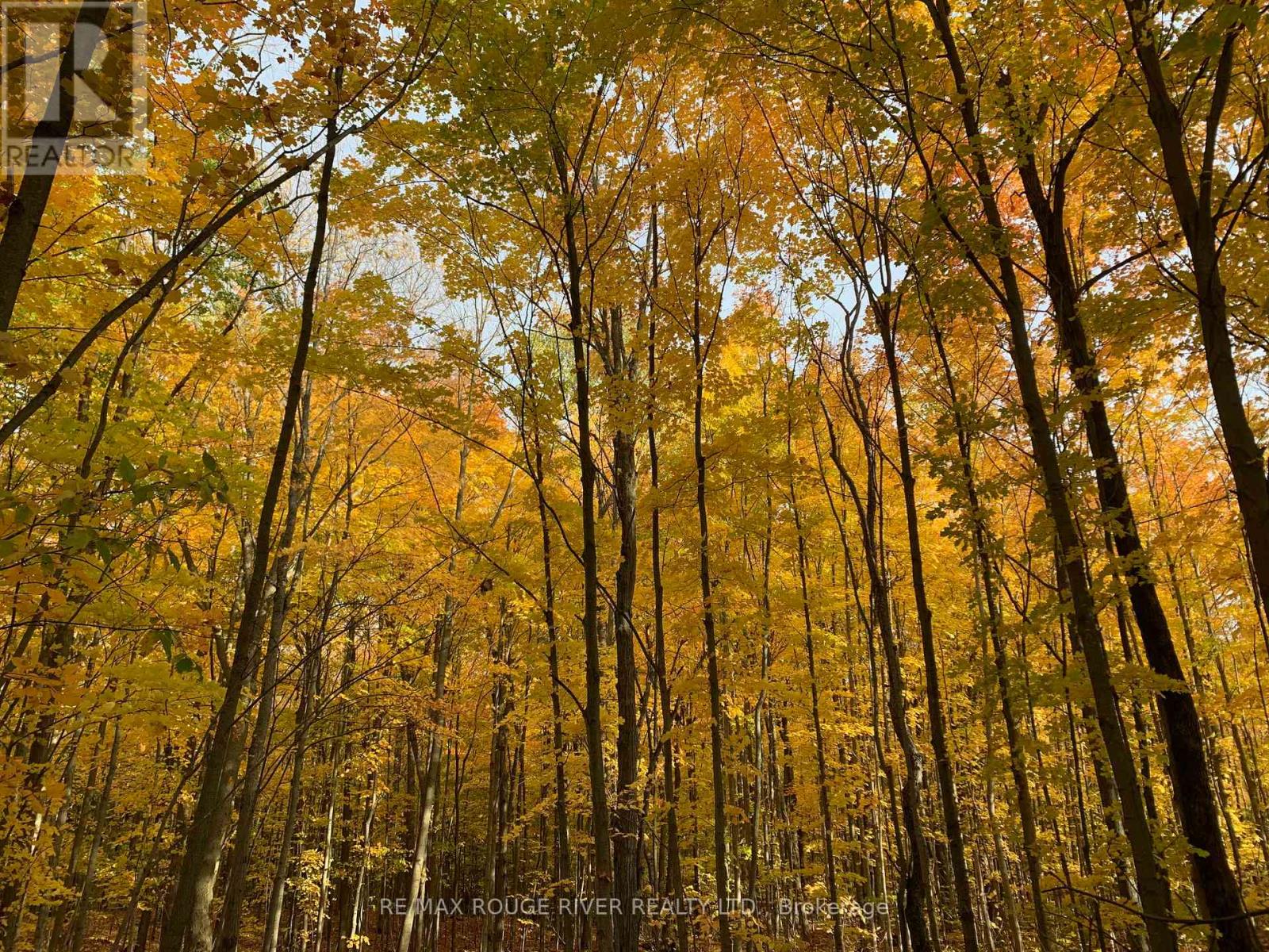 2401 15th Line, Selwyn, Ontario  K0L 2H0 - Photo 42 - X12696162
