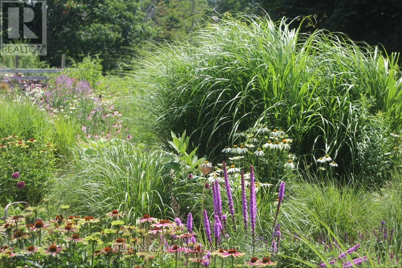 2401 15th Line, Selwyn, Ontario  K0L 2H0 - Photo 46 - X12696162