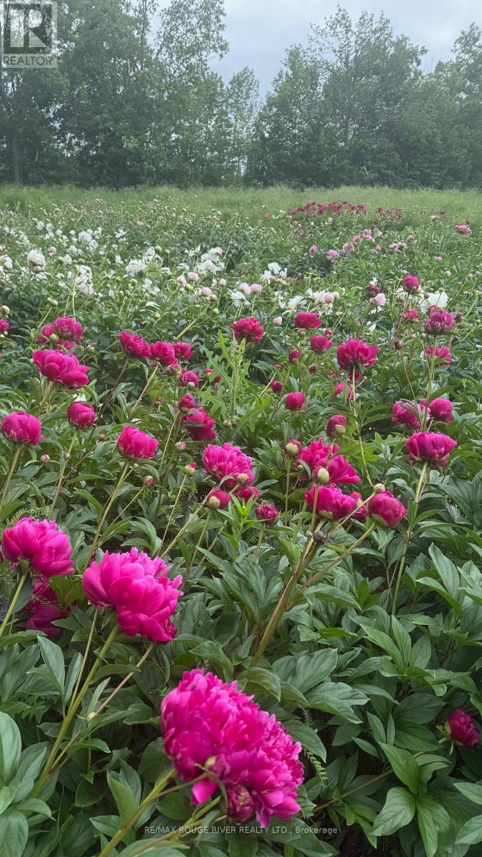 2401 15th Line, Selwyn, Ontario  K0L 2H0 - Photo 48 - X12696162