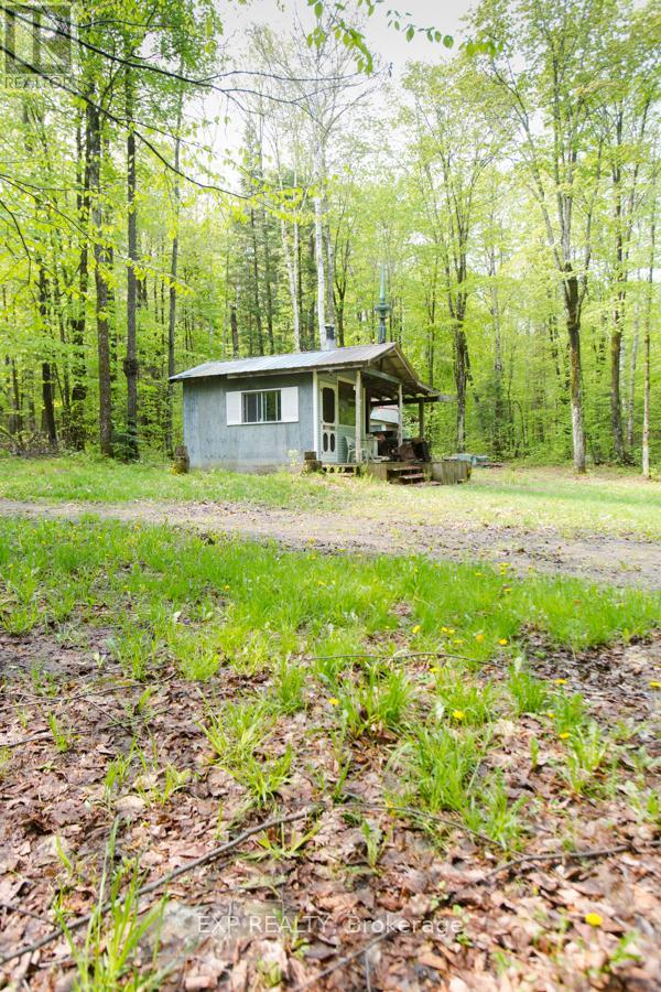 1040 Bill Mclaren Trail, Dysart Et Al (Harcourt), Ontario  K0L 1X0 - Photo 13 - X12699160