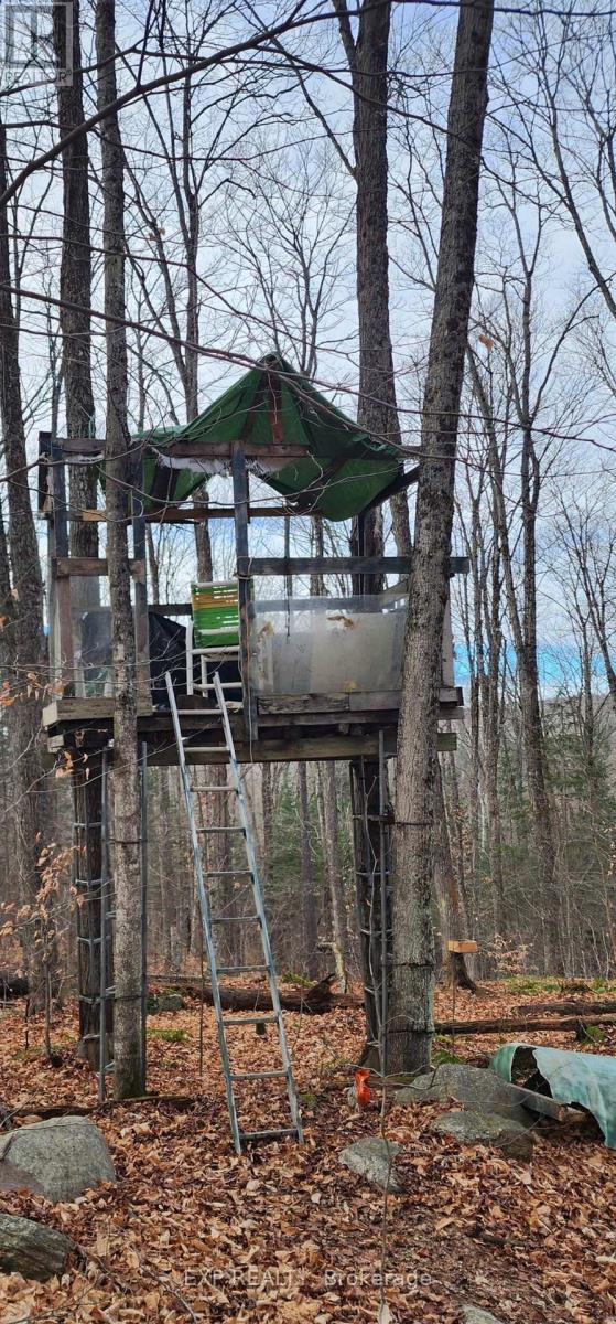 1040 Bill Mclaren Trail, Dysart Et Al (Harcourt), Ontario  K0L 1X0 - Photo 22 - X12699160