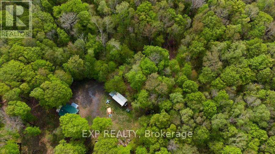 1040 Bill Mclaren Trail, Dysart Et Al (Harcourt), Ontario  K0L 1X0 - Photo 5 - X12699160