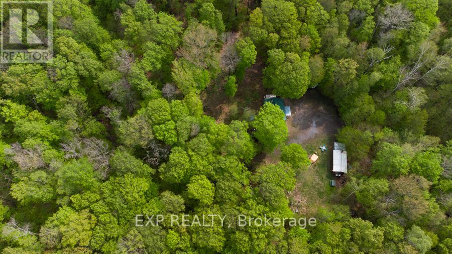 1040 Bill Mclaren Trail, Dysart Et Al (Harcourt), Ontario  K0L 1X0 - Photo 6 - X12699160