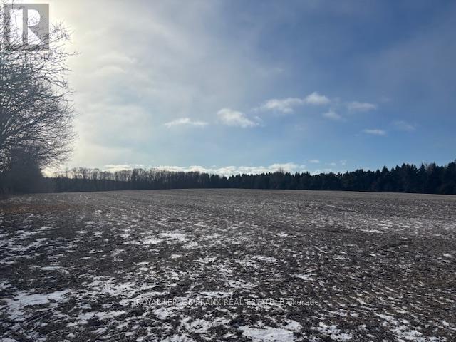 2748 Golf Course Road, Clarington (Newcastle), Ontario  L1B 0N8 - Photo 13 - E12702948