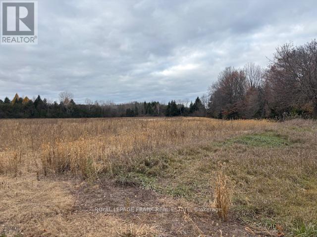 2748 Golf Course Road, Clarington (Newcastle), Ontario  L1B 0N8 - Photo 5 - E12702948