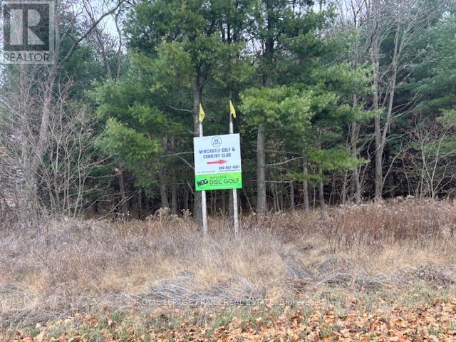 2748 Golf Course Road, Clarington (Newcastle), Ontario  L1B 0N8 - Photo 7 - E12702948