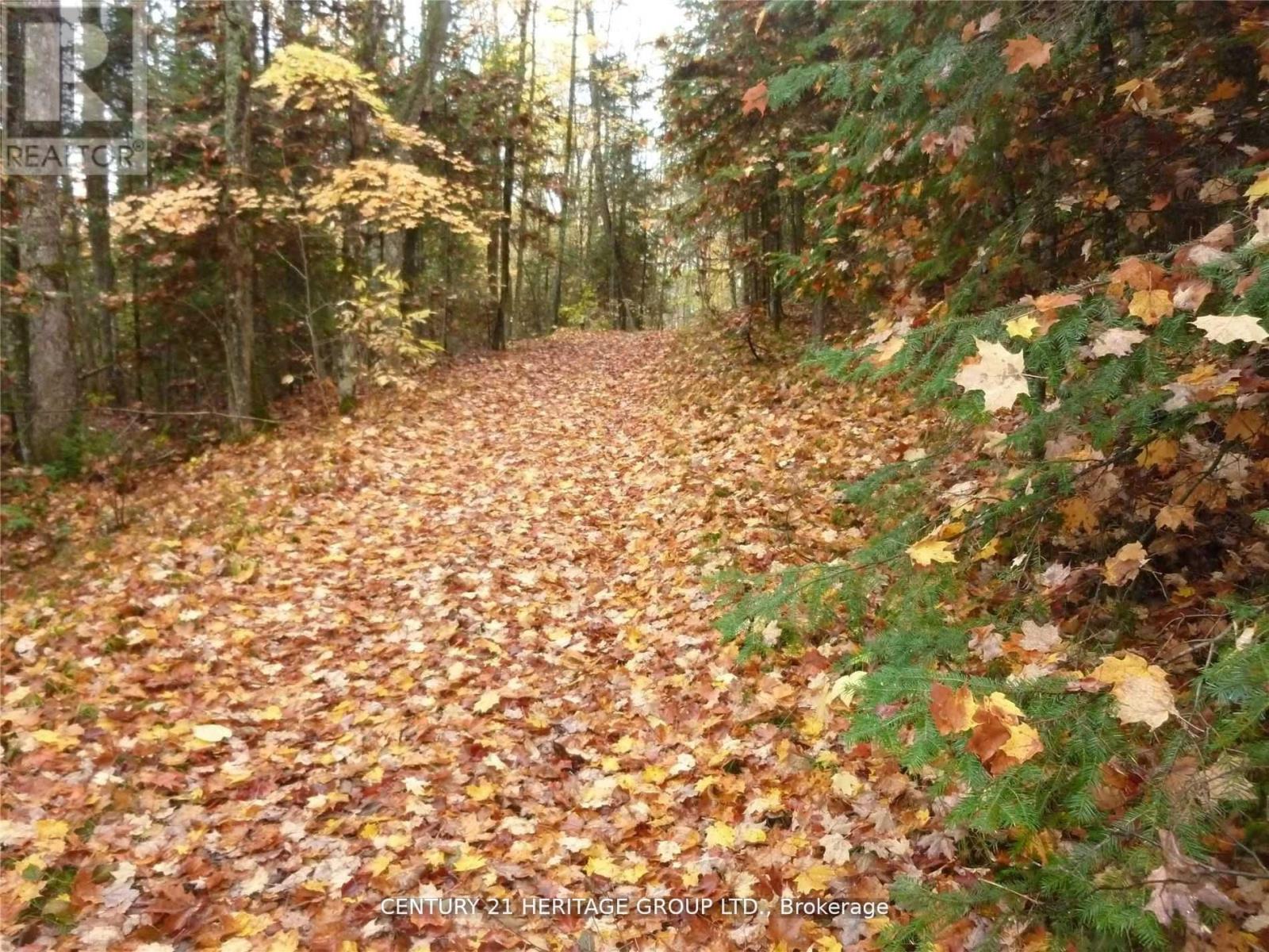 Pt Lt 8 Con7 Macduff Road, Highlands East (Monmouth), Ontario  K0L 2Y0 - Photo 2 - X12707160