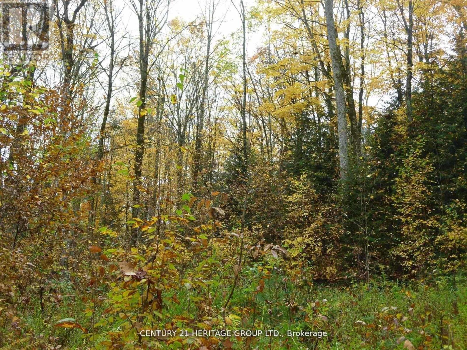 Pt Lt 8 Con7 Macduff Road, Highlands East (Monmouth), Ontario  K0L 2Y0 - Photo 3 - X12707160