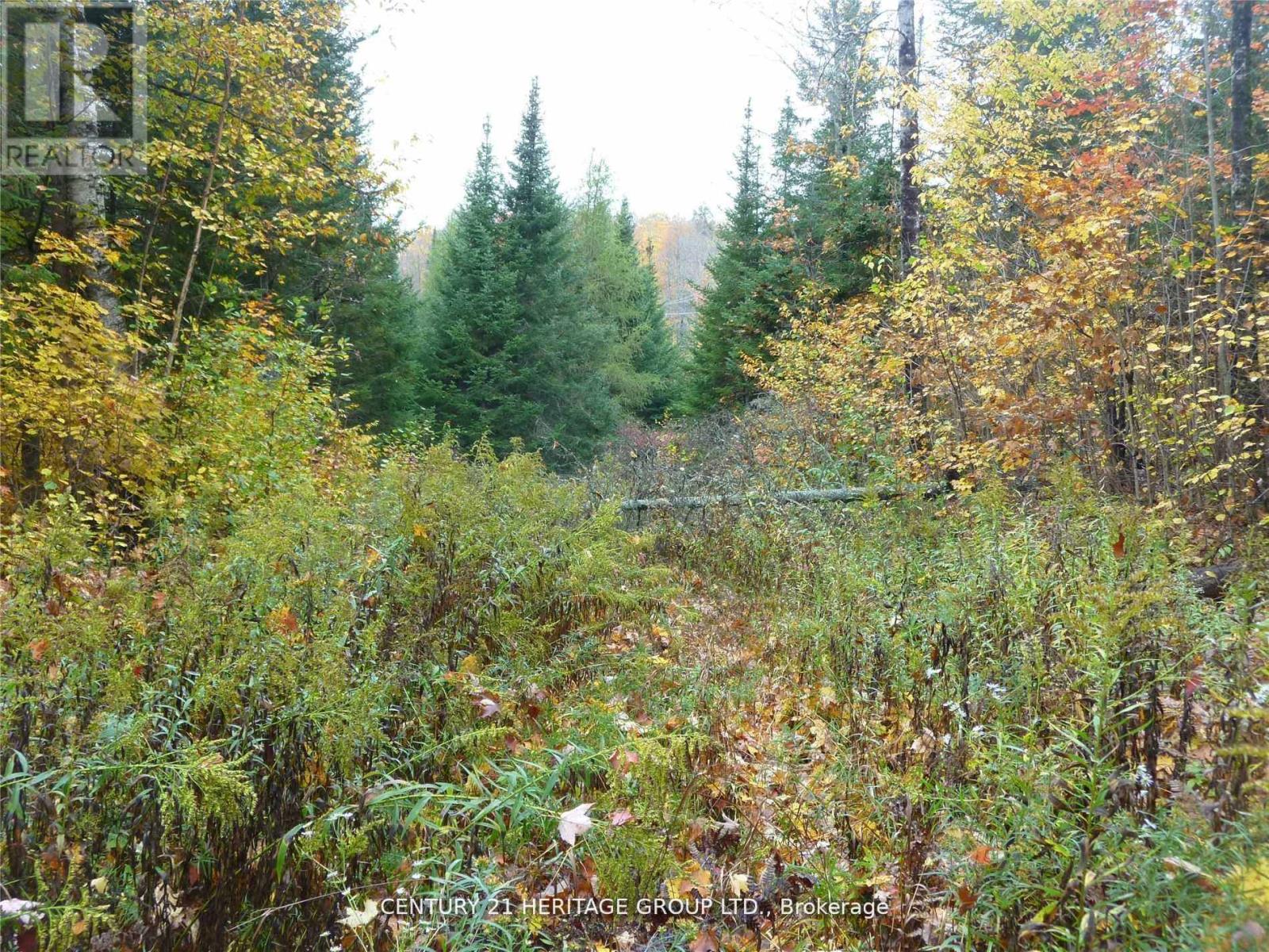 Pt Lt 8 Con7 Macduff Road, Highlands East (Monmouth), Ontario  K0L 2Y0 - Photo 6 - X12707160