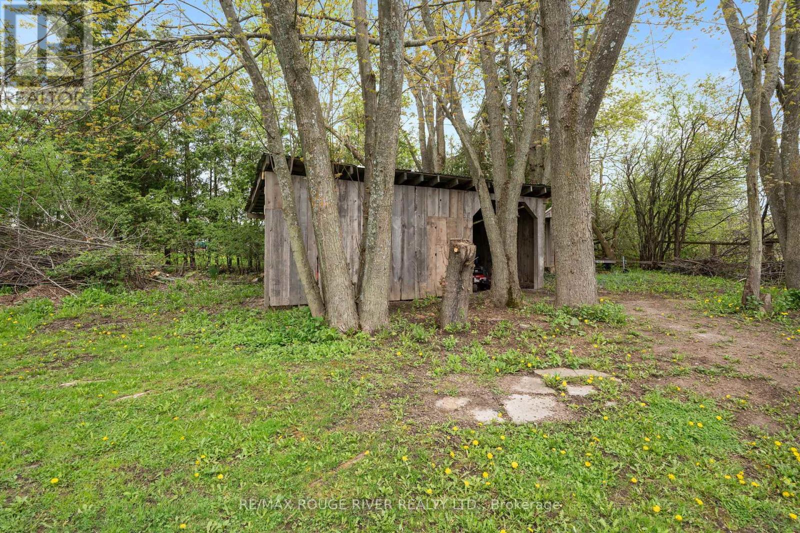 566 Cottingham Road, Kawartha Lakes (Emily), Ontario  K0L 2W0 - Photo 36 - X12709440