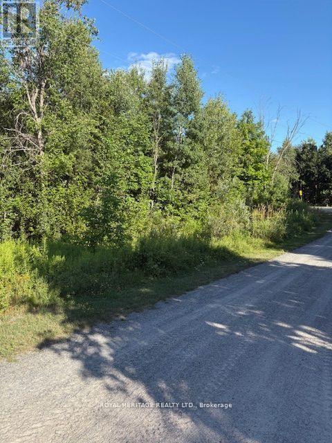 70 Fish Hook Lane, Marmora And Lake (Lake Ward), Ontario  K0L 1W0 - Photo 9 - X12710876
