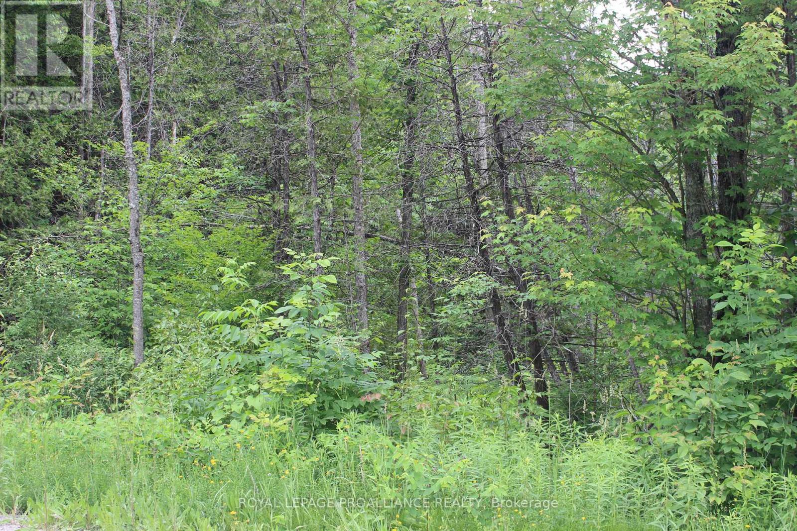 Pt Lt 11 Rcp 2312, Faraday, Ontario  K0L 1C0 - Photo 3 - X12712766