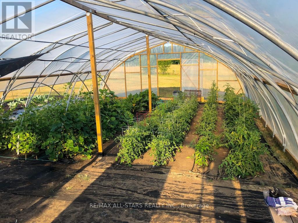 513 Highway 35 S, Kawartha Lakes (Manvers), Ontario  L0A 1K0 - Photo 48 - X12713664