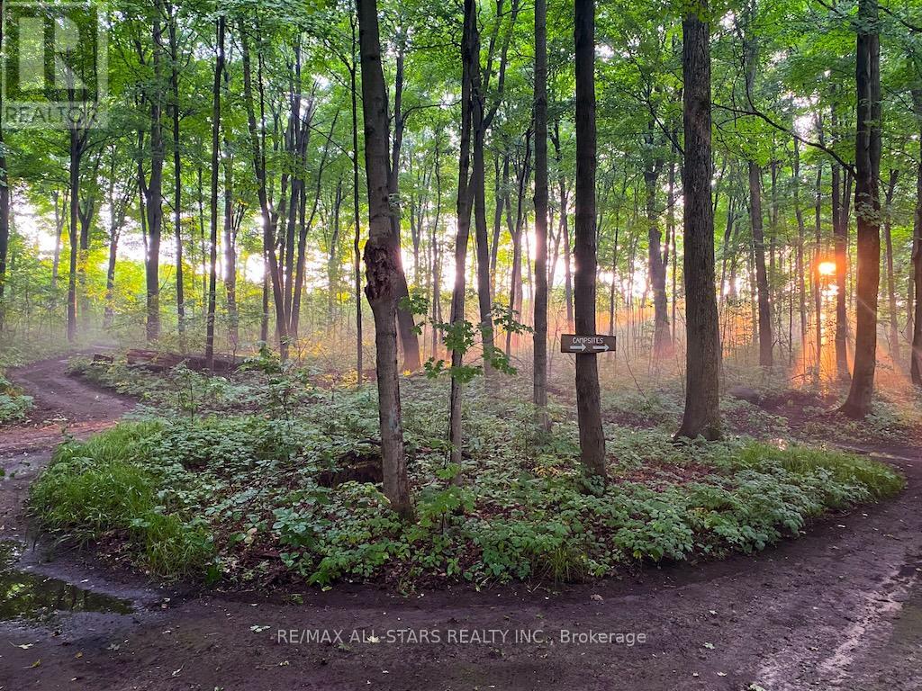 513 Highway 35 S, Kawartha Lakes (Manvers), Ontario  L0A 1K0 - Photo 49 - X12713664