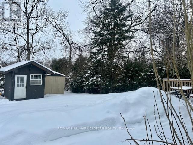 38 Regent Street, Selwyn, Ontario  K0L 2H0 - Photo 45 - X12716800