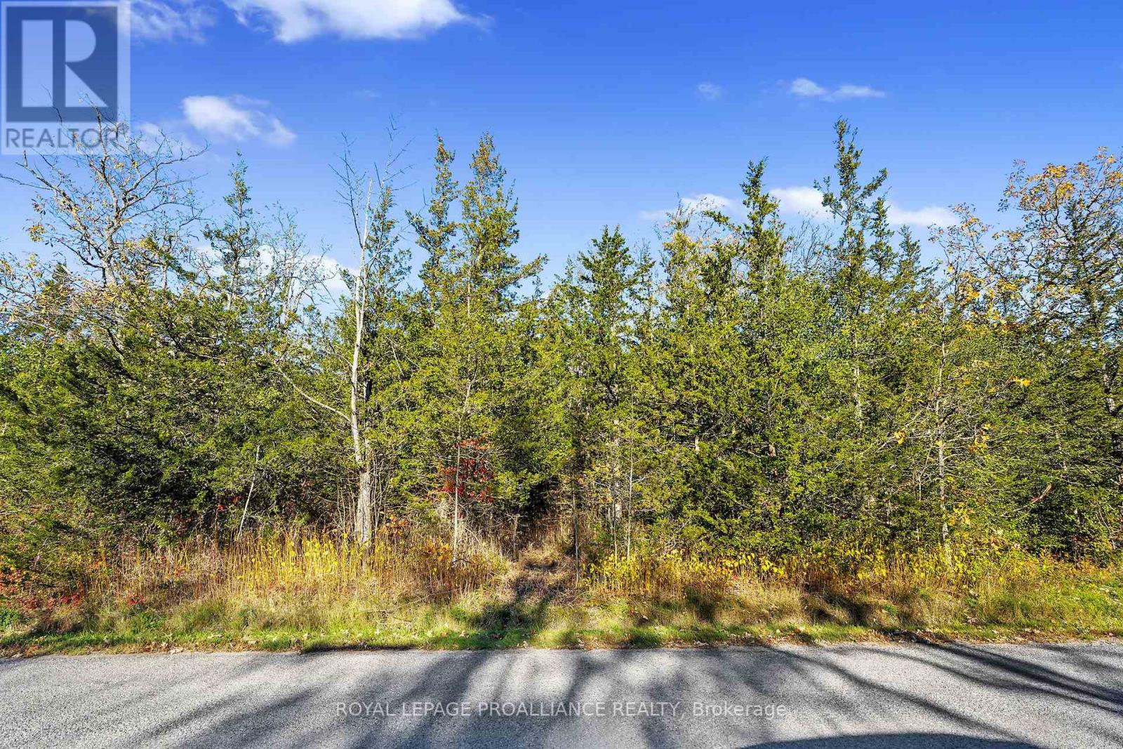 Lot 2 Hillside Drive, Trent Hills, Ontario  K0L 1L0 - Photo 27 - X12720392