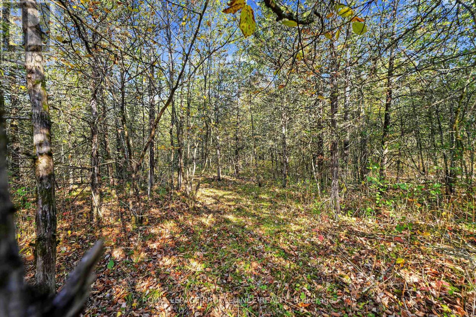 Lot 2 Hillside Drive, Trent Hills, Ontario  K0L 1L0 - Photo 29 - X12720392
