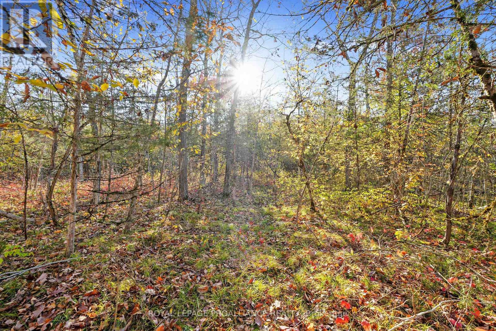 Lot 2 Hillside Drive, Trent Hills, Ontario  K0L 1L0 - Photo 36 - X12720392