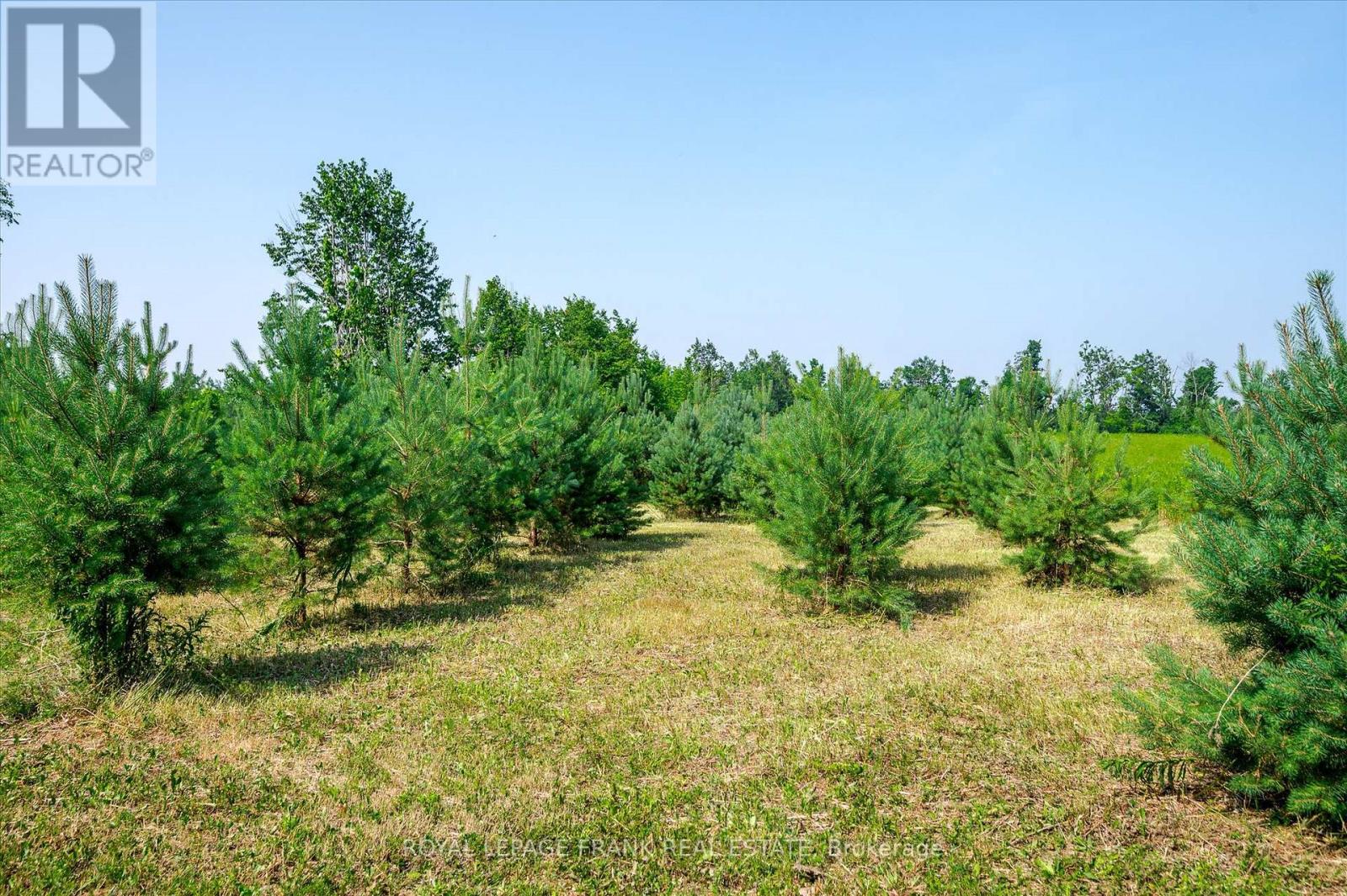 1060 Centre Line, Selwyn, Ontario  K9J 6X5 - Photo 37 - X12721038