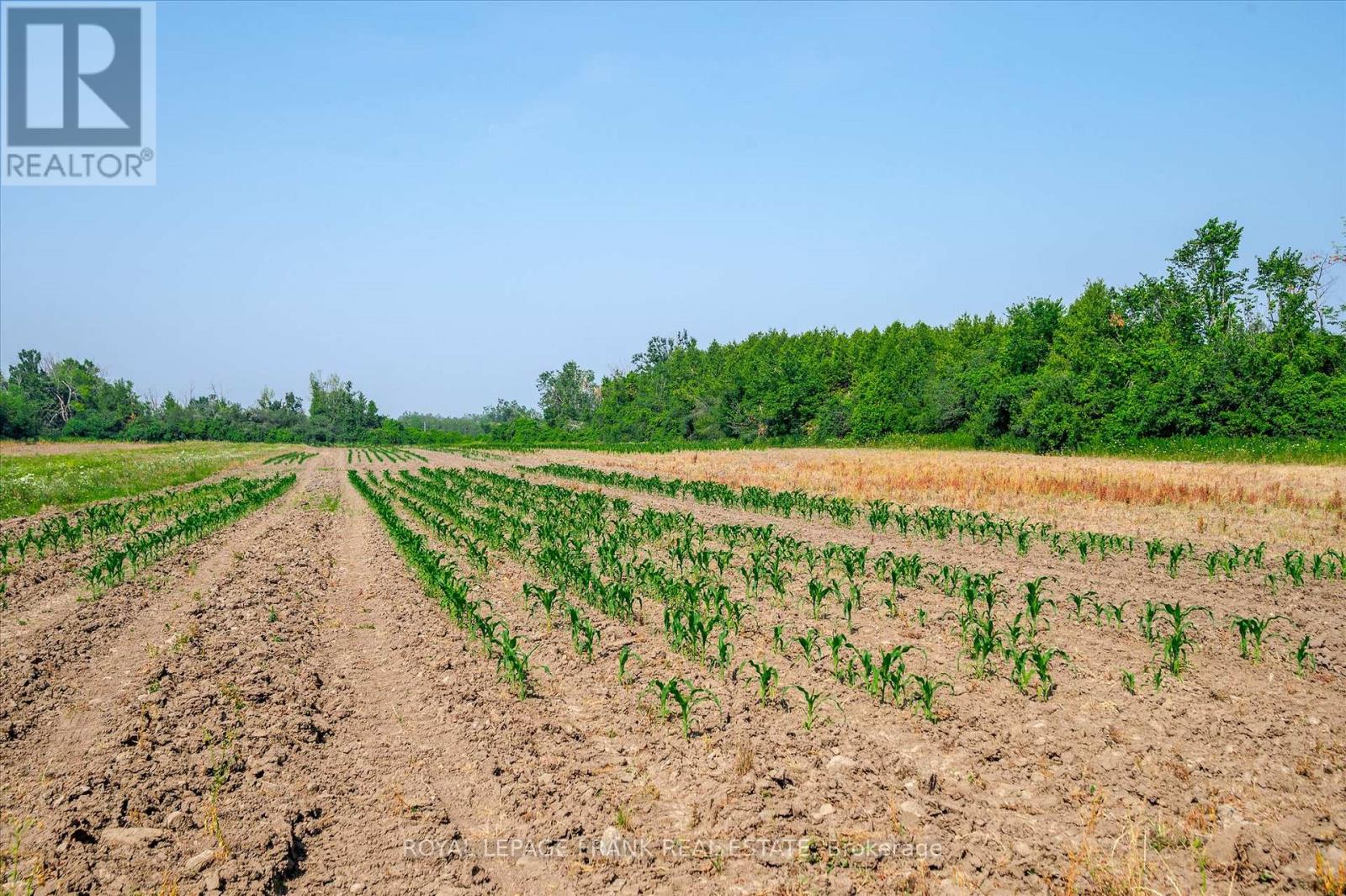 1060 Centre Line, Selwyn, Ontario  K9J 6X5 - Photo 39 - X12721038