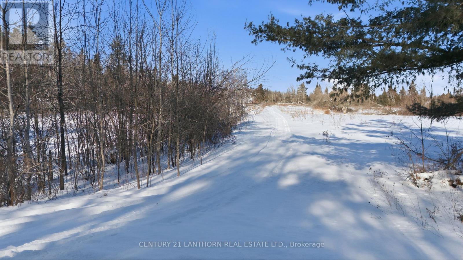 1012 12th Line W, Trent Hills, Ontario  K0L 1Y0 - Photo 10 - X12722922