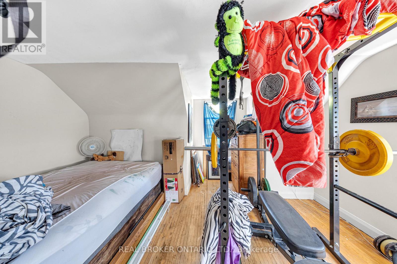 710 Cameron Street, Peterborough (Otonabee Ward 1), Ontario  K9J 3Z8 - Photo 10 - X12723472