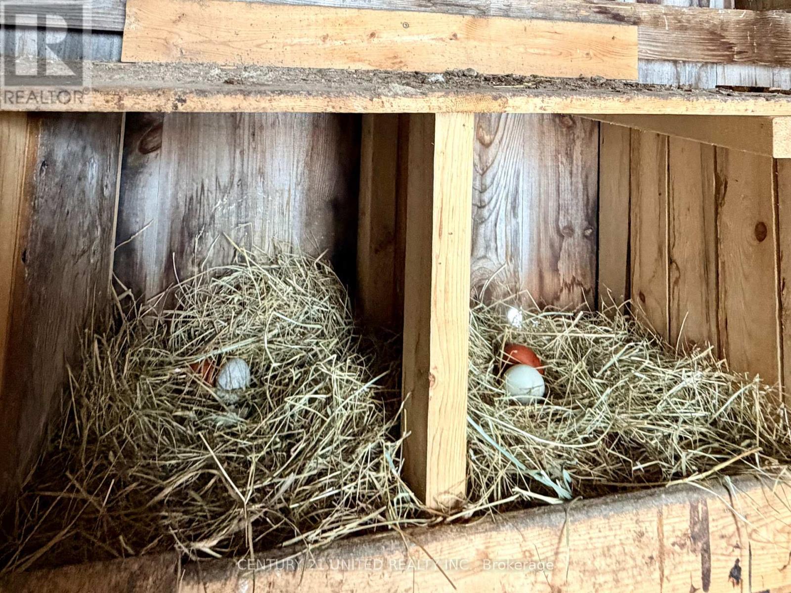 1074 First Line, Douro-Dummer, Ontario  K0L 3A0 - Photo 46 - X12723866