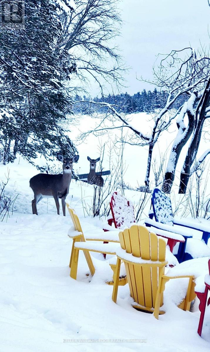 51 Lakeview Road, North Kawartha, Ontario  K0L 1A0 - Photo 29 - X12723880