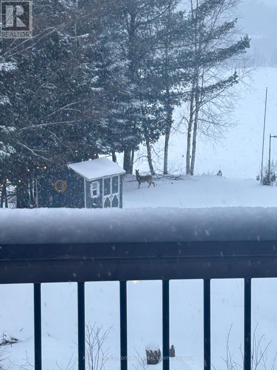 992 South Baptiste Lake Road, Hastings Highlands (Herschel Ward), Ontario  K0L 1C0 - Photo 46 - X12724702