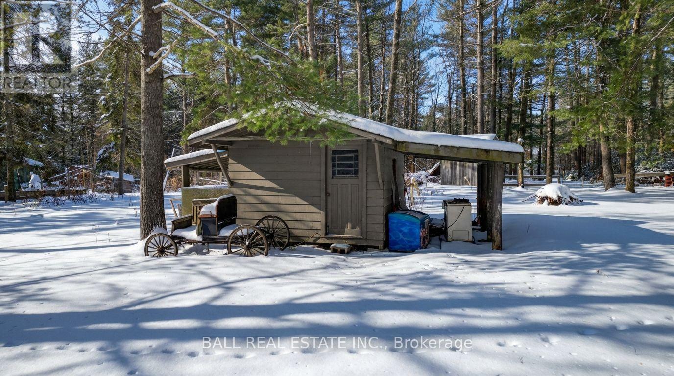 146 Buck Hill Road, Hastings Highlands (Monteagle Ward), Ontario  K0L 1C0 - Photo 10 - X12724894