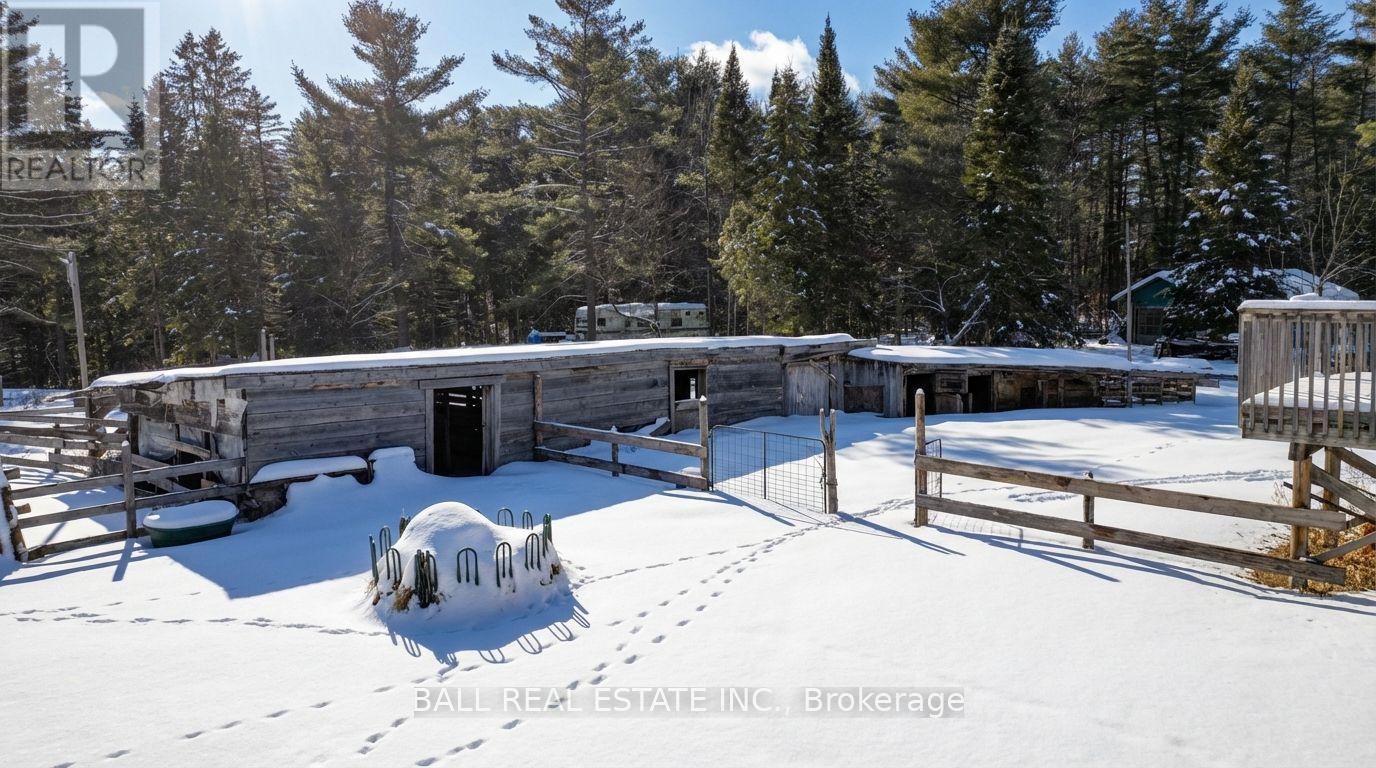 146 Buck Hill Road, Hastings Highlands (Monteagle Ward), Ontario  K0L 1C0 - Photo 11 - X12724894