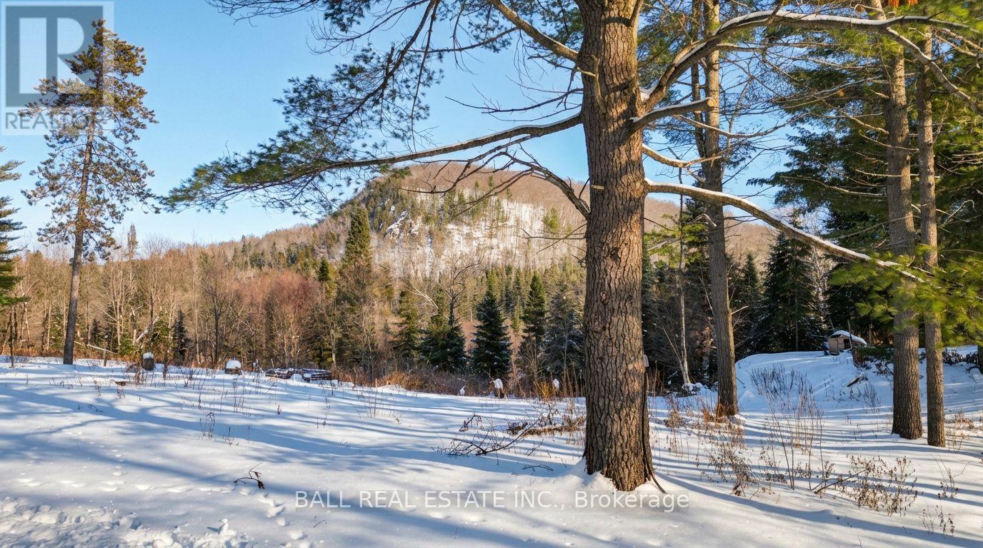 146 Buck Hill Road, Hastings Highlands (Monteagle Ward), Ontario  K0L 1C0 - Photo 2 - X12724894