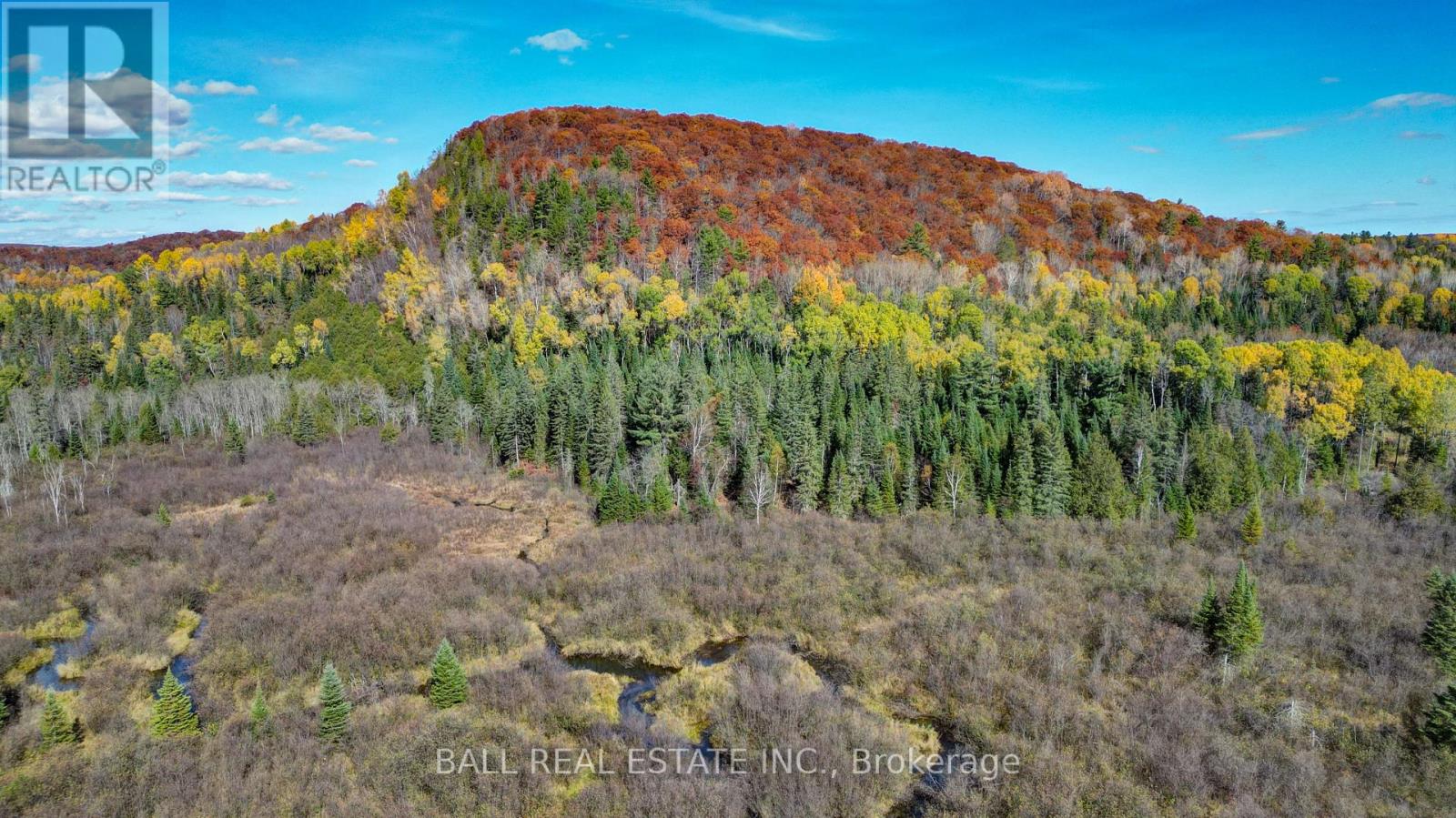 146 Buck Hill Road, Hastings Highlands (Monteagle Ward), Ontario  K0L 1C0 - Photo 24 - X12724894