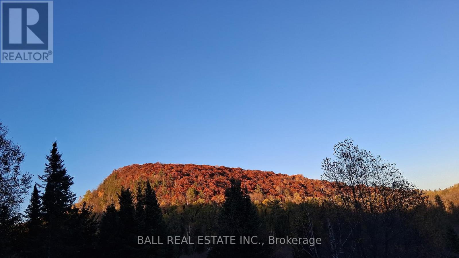 146 Buck Hill Road, Hastings Highlands (Monteagle Ward), Ontario  K0L 1C0 - Photo 38 - X12724894
