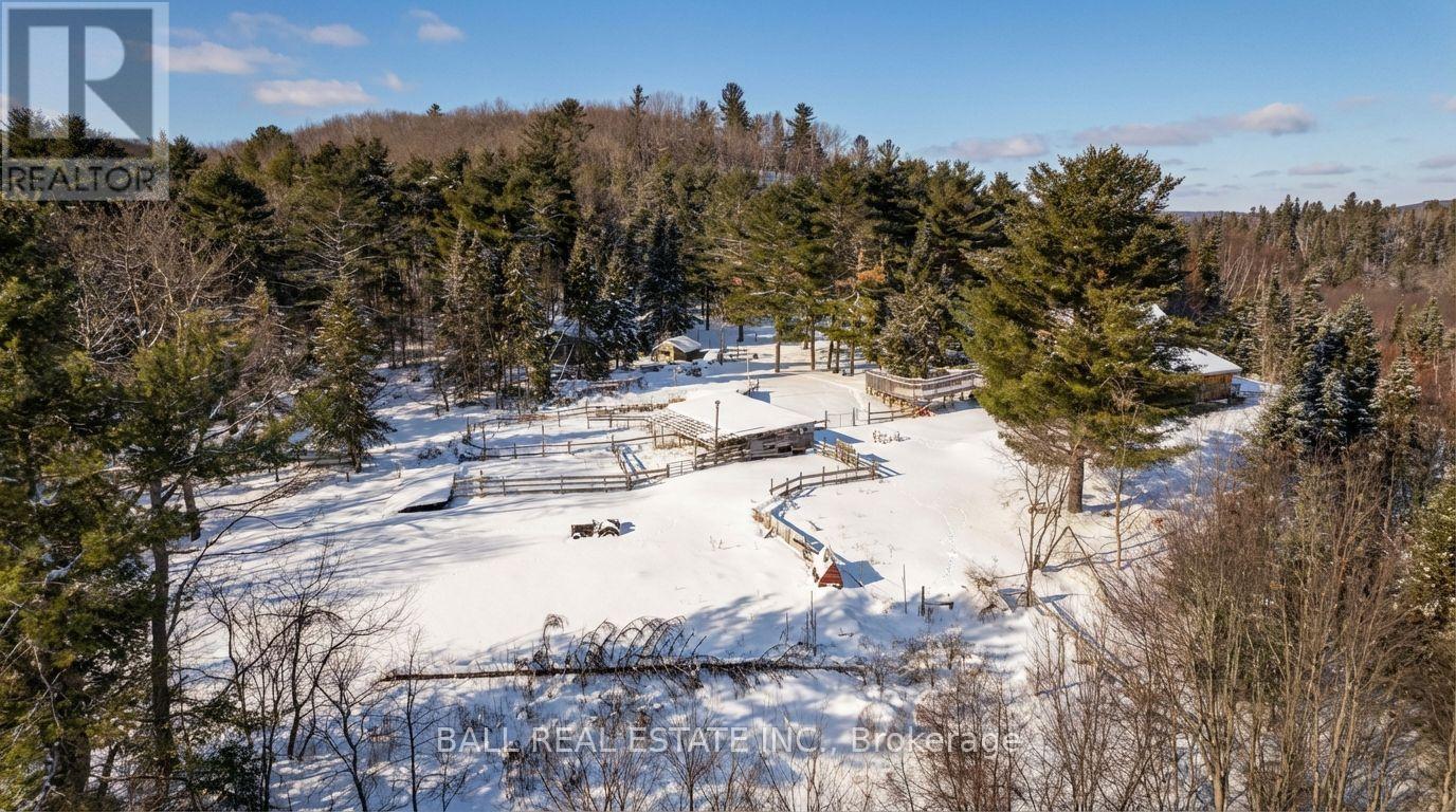 146 Buck Hill Road, Hastings Highlands (Monteagle Ward), Ontario  K0L 1C0 - Photo 7 - X12724894