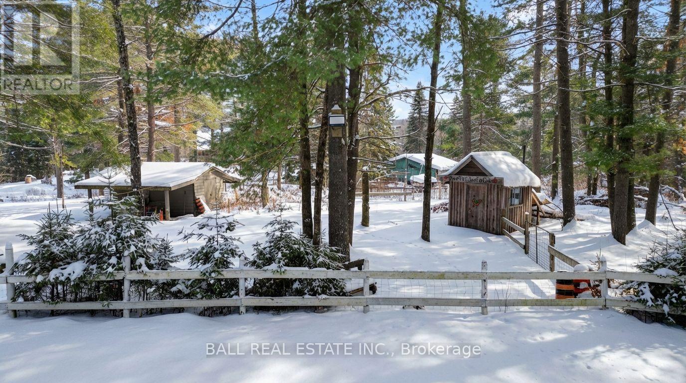 146 Buck Hill Road, Hastings Highlands (Monteagle Ward), Ontario  K0L 1C0 - Photo 8 - X12724894